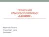 Прачечная самообслуживания «LaunDry»