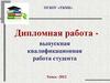 Дипломная работа