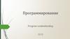 Программирование. Program understanding