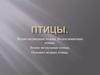 Птицы. Водно-подводные птицы, водоплавающие птицы, водно-воздушные птицы, наземно-водные птицы
