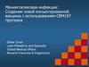 Менингококковая инфекция: Создание новой конъюгированной вакцины с использованием CRM197 протеина