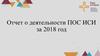 Отчет о деятельности ПОС ИСИ за 2018 год