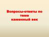 Каменный век. Вопросы