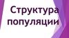 Структура популяции