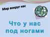 Что у нас под ногами. Мир вокруг нас