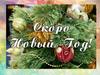 Скоро Новый год