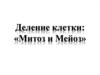Деление клетки. Митоз и мейоз