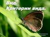Вид. Критерии вида