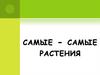 Самые - самые растения