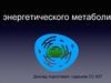 Энергетический метаболизм