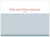 Pets and other animals