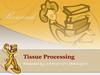 Tissue processing