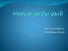Новые виды рыб