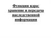 Функции ядра: хранение и передача наследственной информации