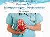 Пиелонефрит. Гломерулонефрит. Мочекаменная болезнь