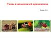 Типы взаимосвязей организмов