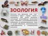 Зоология. Введение