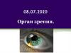 Орган зрения
