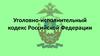 Уголовно-исполнительный кодекс Российской Федерации
