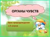 Органы чувств. 5 класс