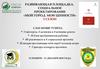 Развивающая площадка. Социальное проектирование «Мой город. Мои ценности» 3 сезон