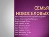 Семья Новоселовых