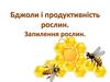 Бджоли і продуктивність рослин. Запилення рослин