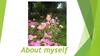 About myself