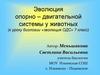 Эволюция опорно – двигательной системы у животных