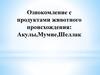 Ознакомление с продуктами животного происхождения: Акулы, Мумие, Шеллак