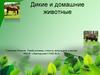 Дикие и домашние животные