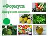 Формула здоровой жизни