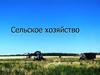 Сельское хозяйство