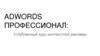 Контекстная реклама. Базовые понятия и определения контекстной рекламы. Анализ целевой аудитории (ЦА). Виды рекламных кампаний