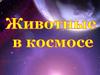 Животные в космосе