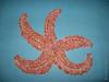 Аппликация "Морская звезда"