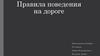 Правила поведения на дороге