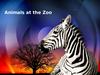 Animals at the Zoo