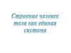 Строение тела человека как единая система
