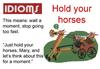 Hold your horses