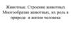 Животные. Строение животных. Многообразие животных, их роль в природе и жизни человека