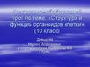 Структура и функции органоидов клетки (10 класс)
