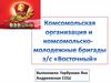 Комсомольская организация и комсомольские молодежные бригады