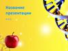 Шаблон презентации