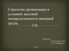 Стратегии организации в условиях высокой неопределенности внешней среды