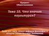 Что значит «культура»? Тема 13