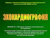 Эхокардиография. Методика тканевого допплеровского исследования. (Лекция 5)
