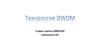 Технология DWDM