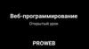 Веб-программирование