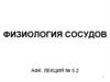 Физиология сосудов. (Лекция 5.2)